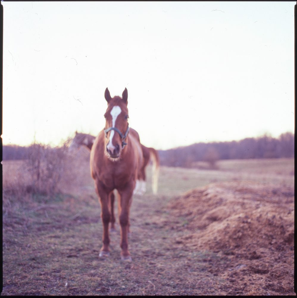 Moments — fine art photography by Joshua Kastan