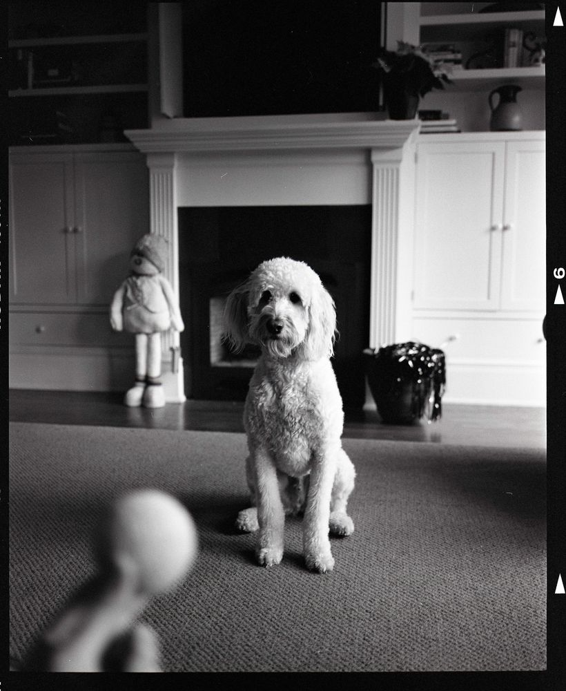 People — fine art photography by Joshua Kastan