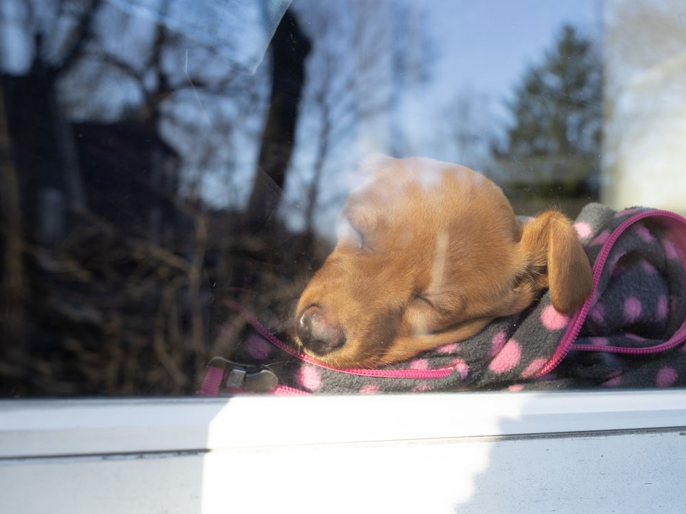 People — fine art photography by Joshua Kastan