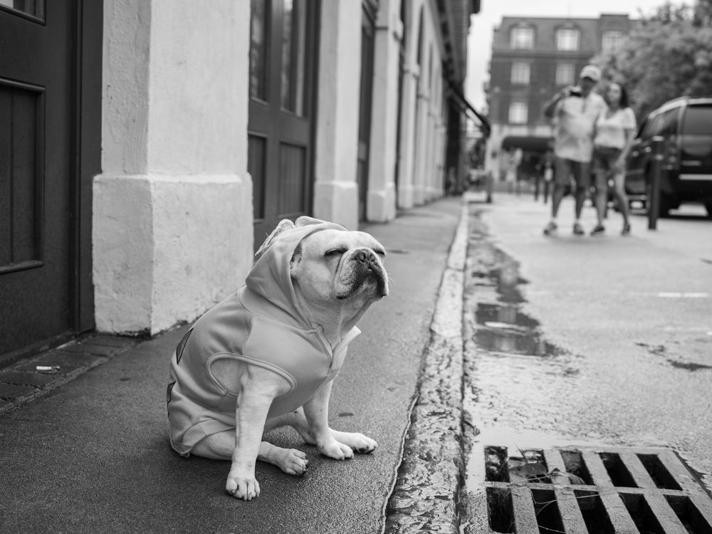 People — fine art photography by Joshua Kastan