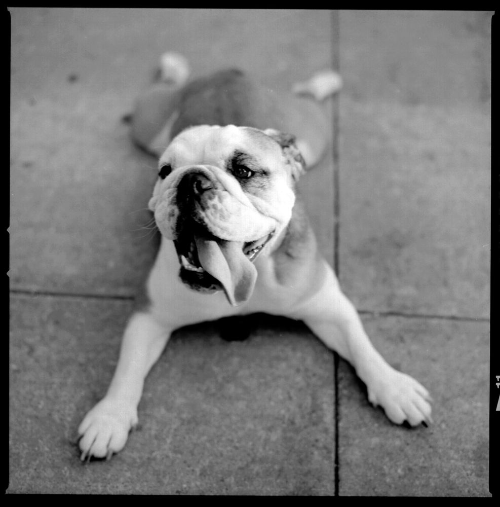 People — fine art photography by Joshua Kastan