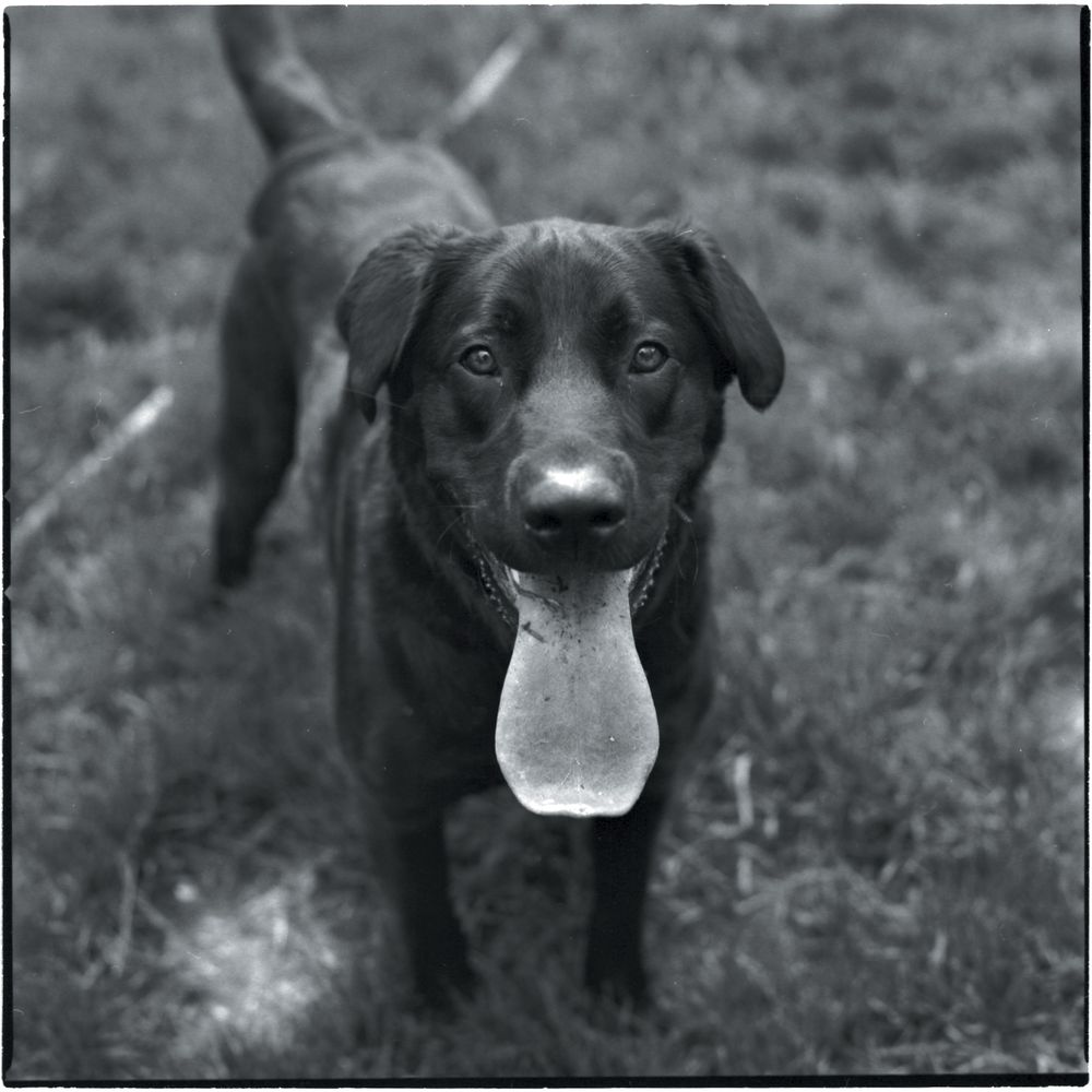 People — fine art photography by Joshua Kastan