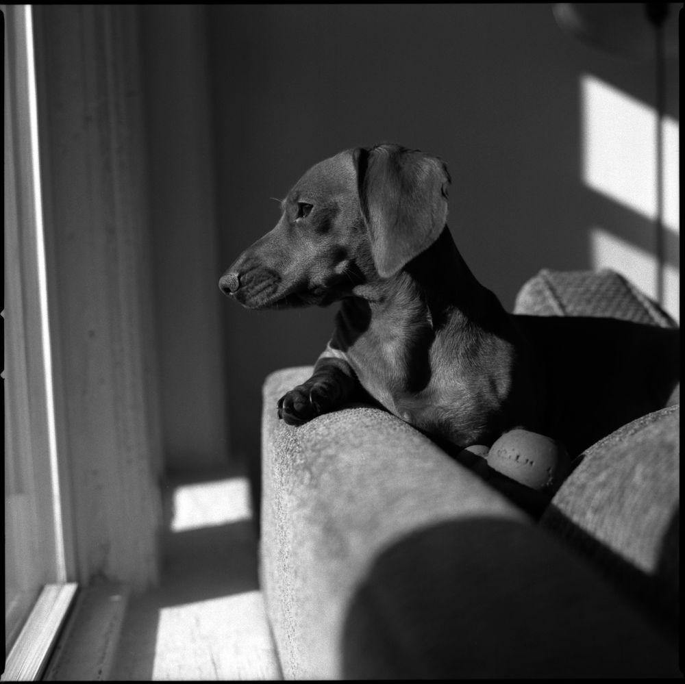 People — fine art photography by Joshua Kastan