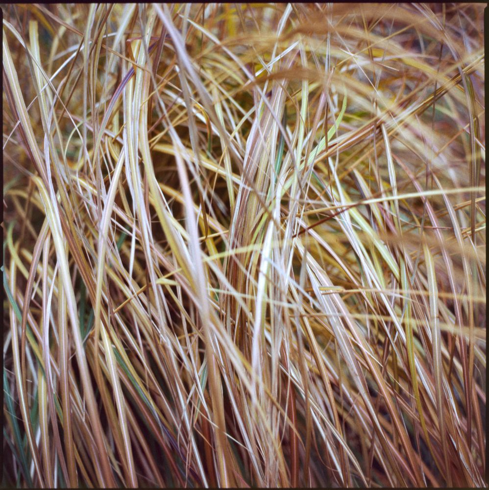 Places — fine art photography by Joshua Kastan