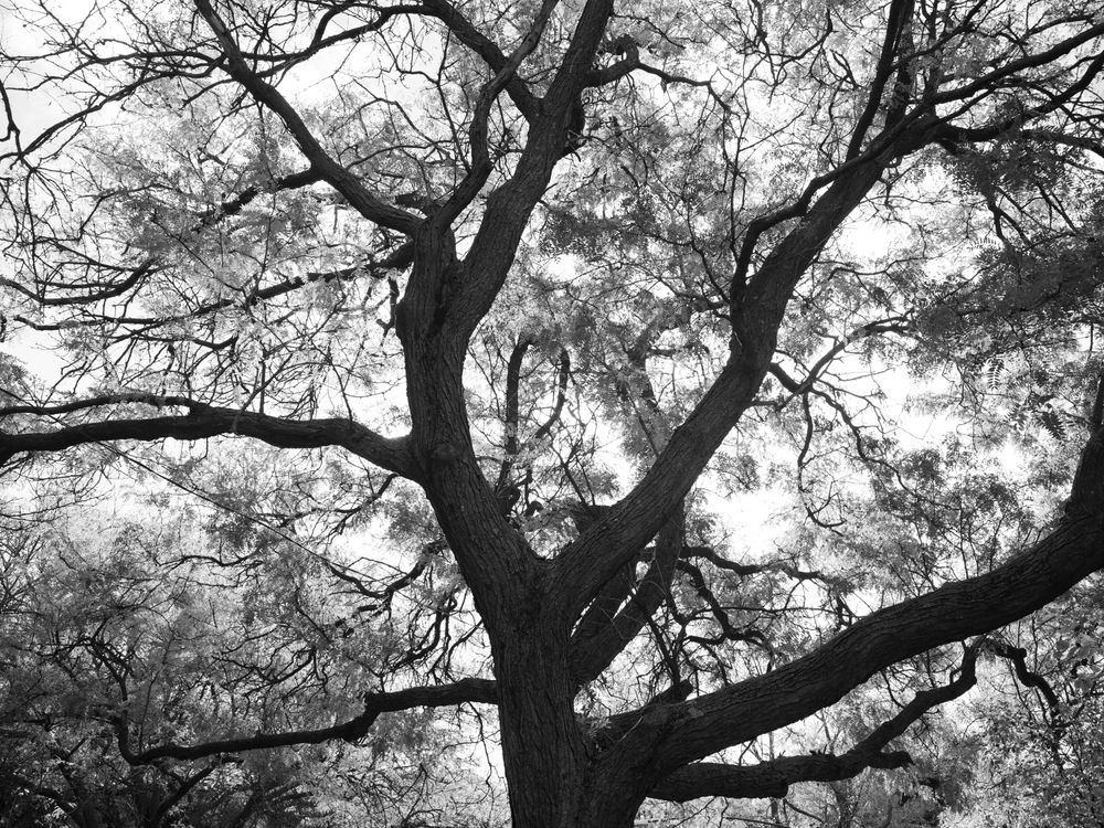 Places — fine art photography by Joshua Kastan
