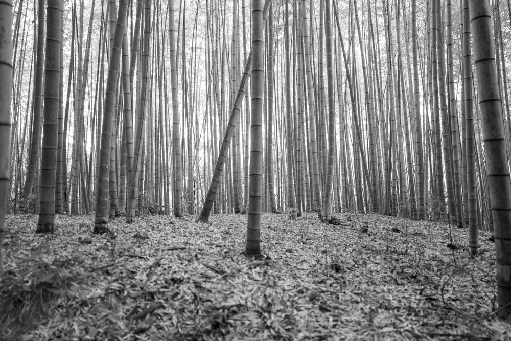 Places — fine art photography by Joshua Kastan