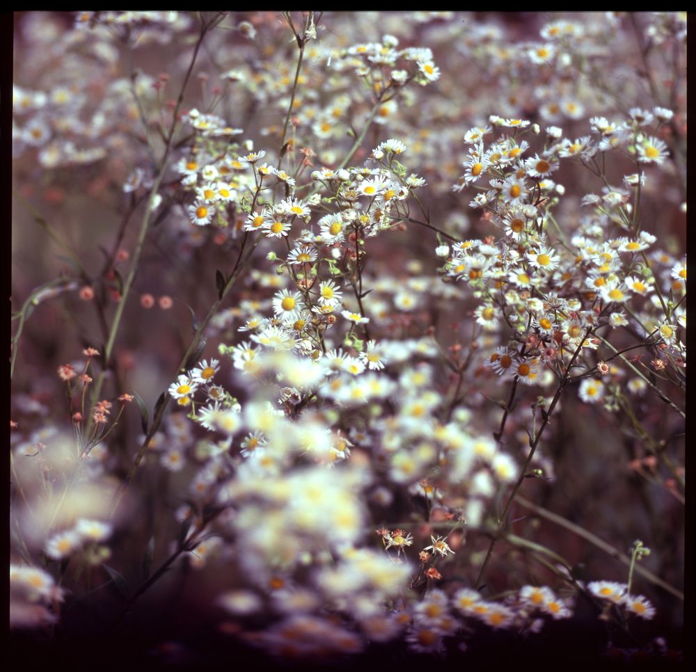 Places — fine art photography by Joshua Kastan