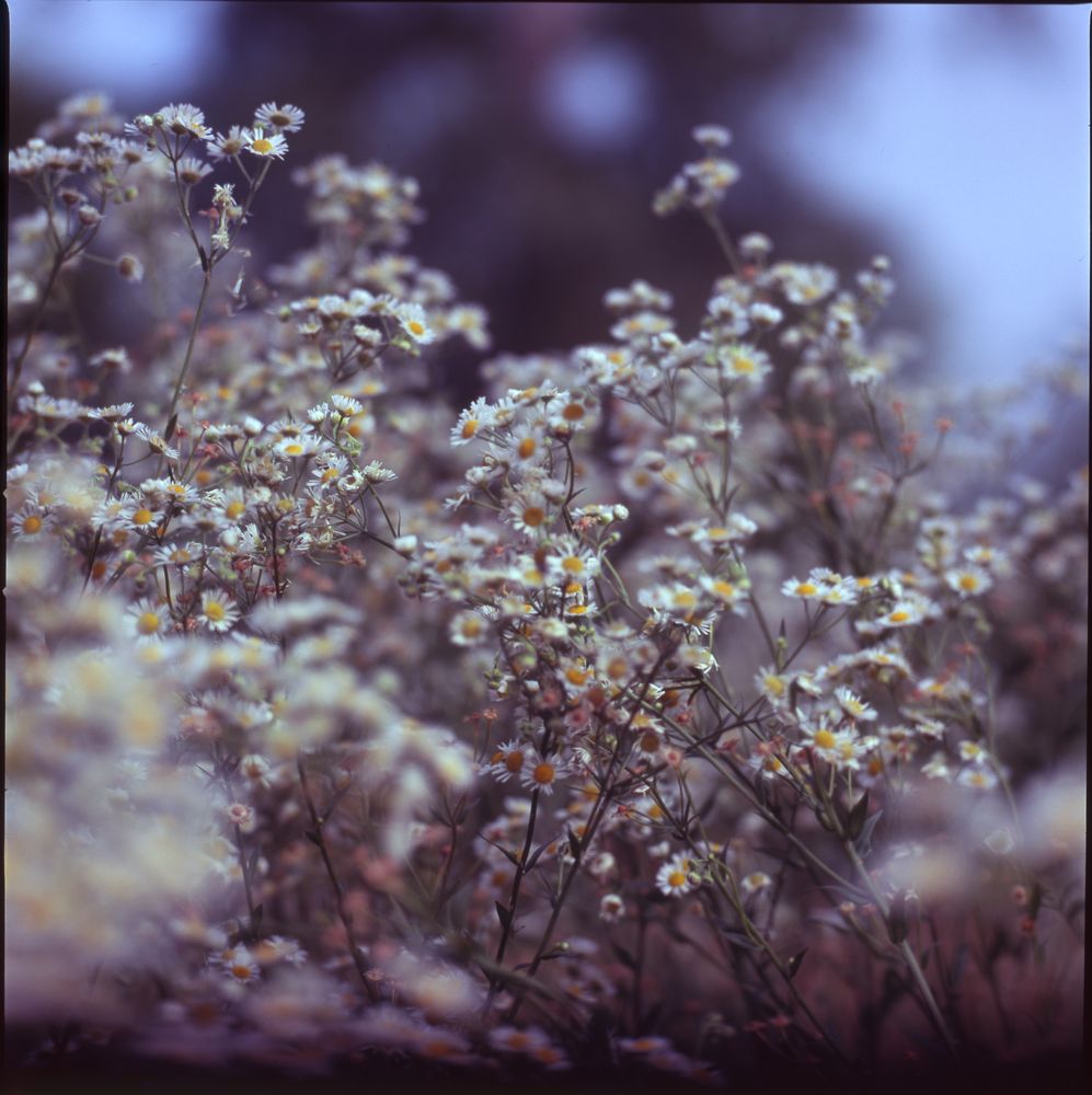 Places — fine art photography by Joshua Kastan