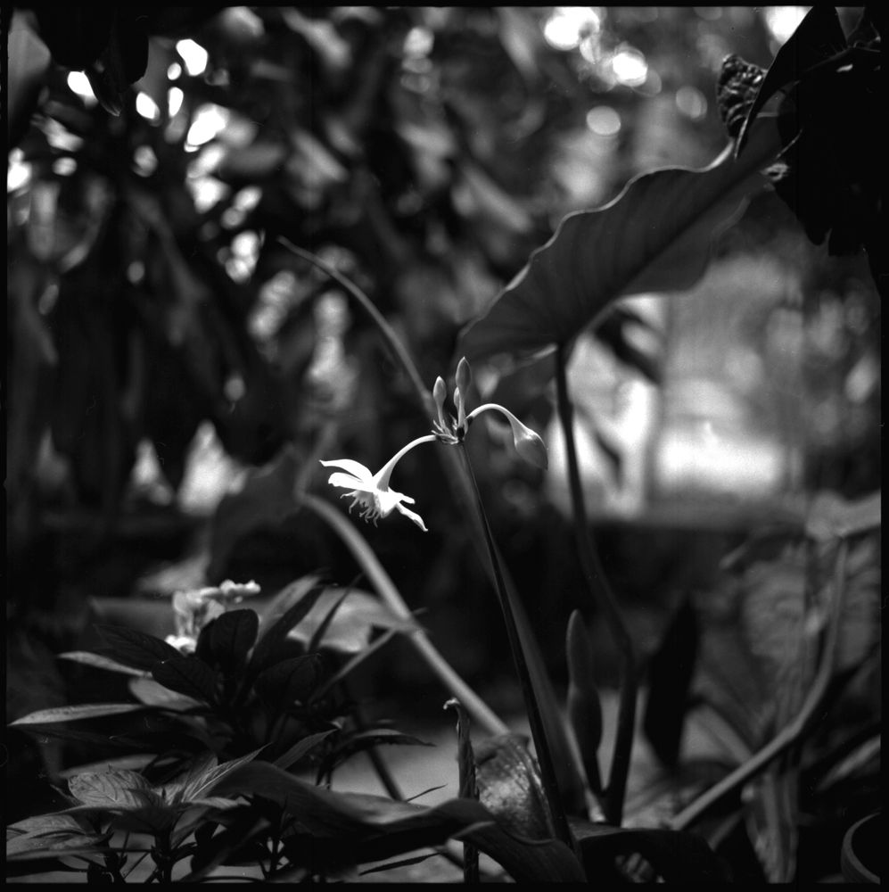 Places — fine art photography by Joshua Kastan