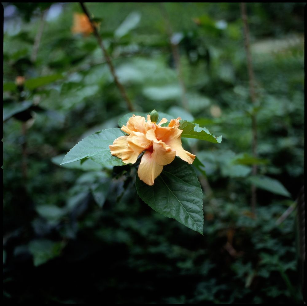 Places — fine art photography by Joshua Kastan