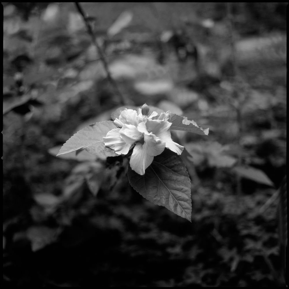 Places — fine art photography by Joshua Kastan