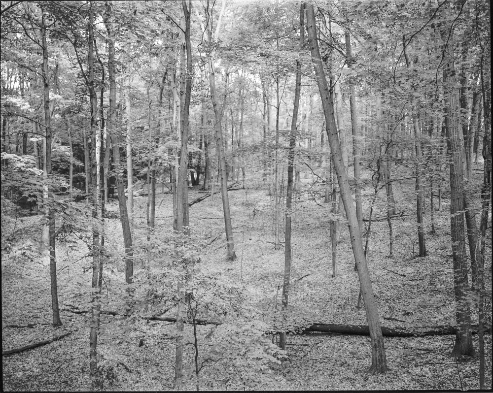 Places — fine art photography by Joshua Kastan